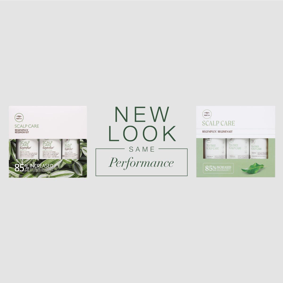 Scalp Care Regeniplex Regimen Kit - Image 2